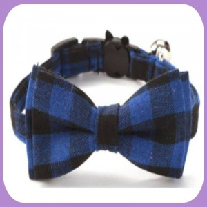 Collar-231